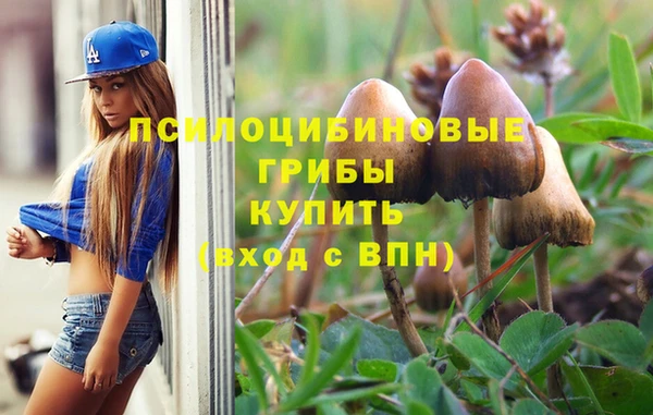 jwh Аркадак