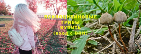мдпв Арсеньев